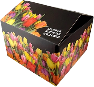 Corrugated retail box printed with a colorful tulip design